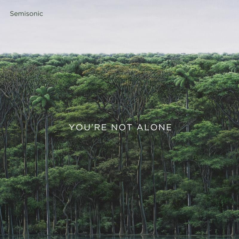 |  12" Single | Semisonic - You're Not Alone (Single) | Records on Vinyl