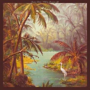 |  Vinyl LP | Duane Betts - Wild & Precious Life (LP) | Records on Vinyl