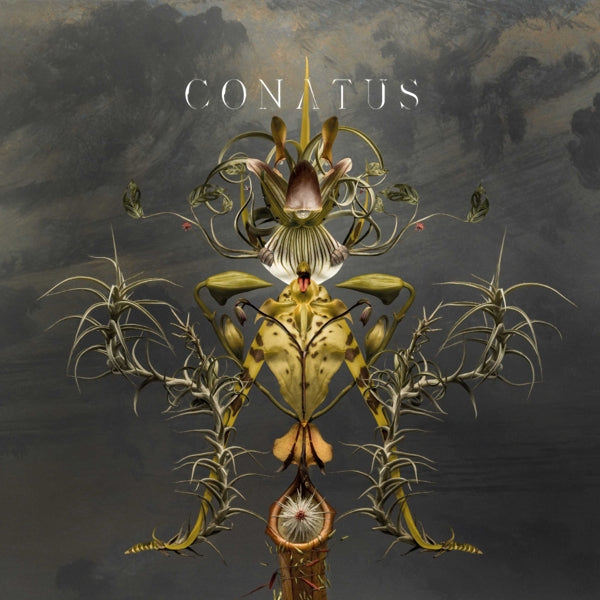 |  Vinyl LP | Joep Beving - Conatus (2 LPs) | Records on Vinyl