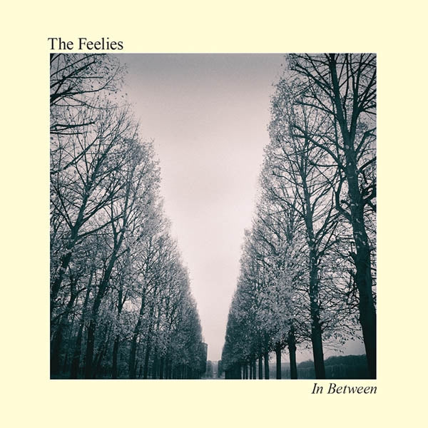 |  Vinyl LP | Feelies - In Between (LP) | Records on Vinyl