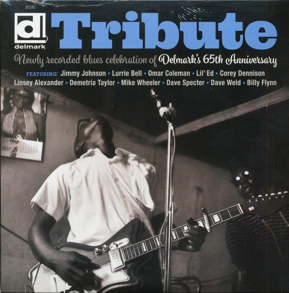 |  Vinyl LP | V/A - Newly Recorded Blues Celebration of Delmark's 65th Anniversary (LP) | Records on Vinyl