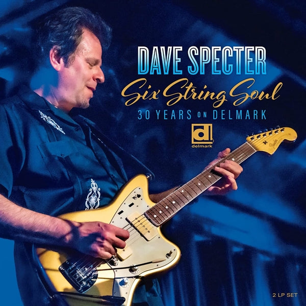 |  Vinyl LP | Dave & Lenny Lynn Specter - Six String Soul. 30 Years On Delmark (2 LPs) | Records on Vinyl