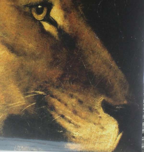 |  Vinyl LP | William Fitzsimmons - Lions (LP) | Records on Vinyl