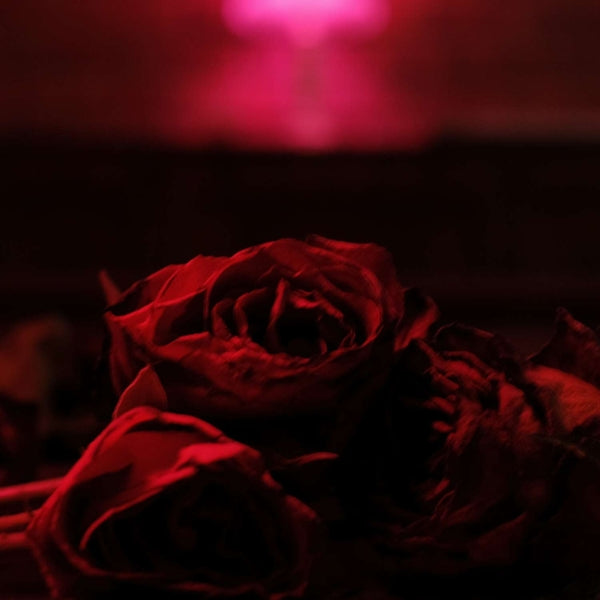 |   | Paper Kites - Roses (LP) | Records on Vinyl
