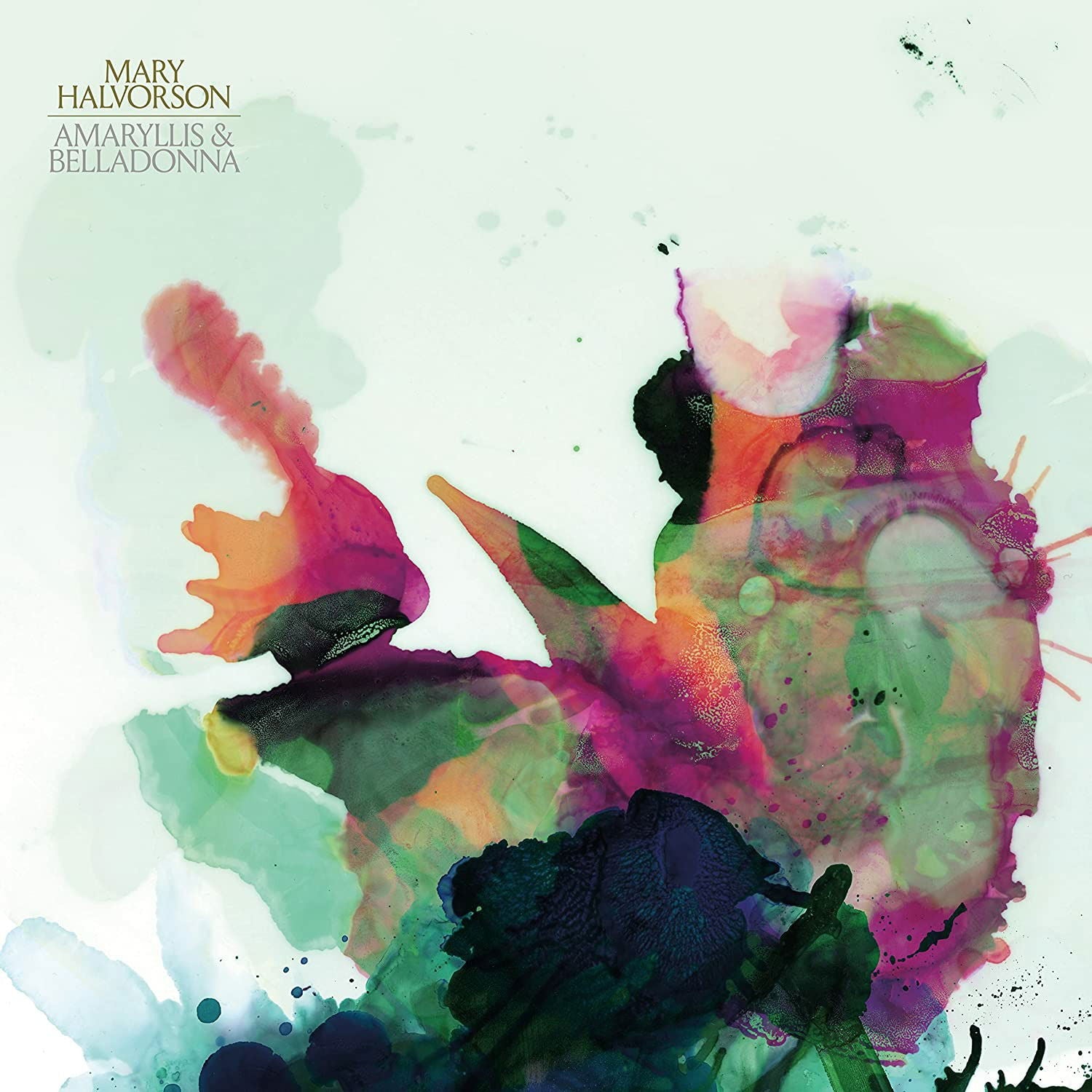 |  Vinyl LP | Mary Halvorson - Amaryllis & Belladonna (LP) | Records on Vinyl