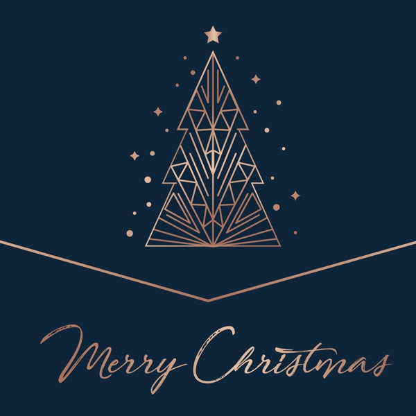 |   | V/A - Merry Christmas (2 LPs) | Records on Vinyl