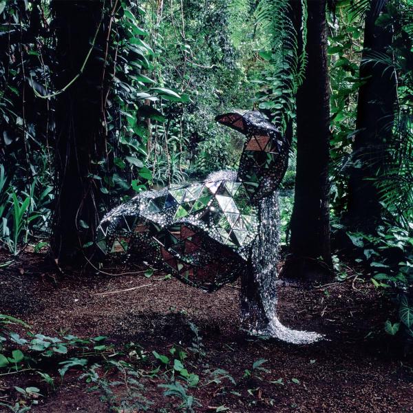 |  Vinyl LP | Css - Donkey (LP) | Records on Vinyl