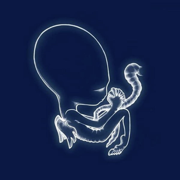|  Vinyl LP | Sigur Ros - Agaetis Byrjun (2 LPs) | Records on Vinyl