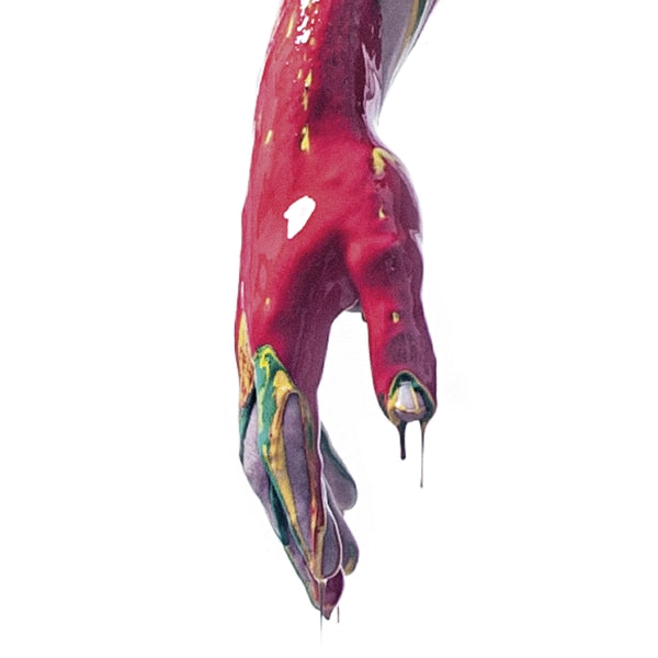 |  Vinyl LP | Nayt - Raptus (LP) | Records on Vinyl