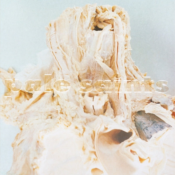 Pale Saints - In Ribbons (2 LPs) Cover Arts and Media | Records on Vinyl