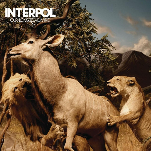 |  Vinyl LP | Interpol - Our Love To Admire (2 LPs) | Records on Vinyl