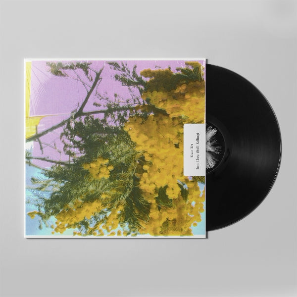 |  12" Single | Four Tet - Into Dust (Single) | Records on Vinyl