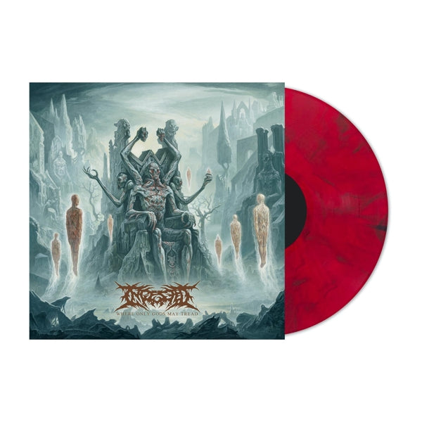 |  Vinyl LP | Ingested - Where Only Gods May Tread (2 LPs) | Records on Vinyl