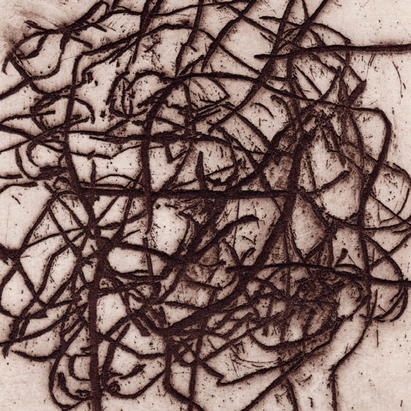 |   | K. & Marc Barecca Leimer - Arrhythmian (2 LPs) | Records on Vinyl
