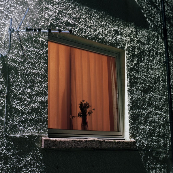 |   | Wyldest - Monthly Friend (LP) | Records on Vinyl