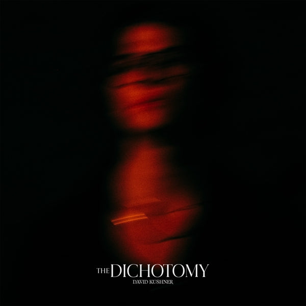 |  Vinyl LP | David Kushner - The Dichotomy (2 LPs) | Records on Vinyl