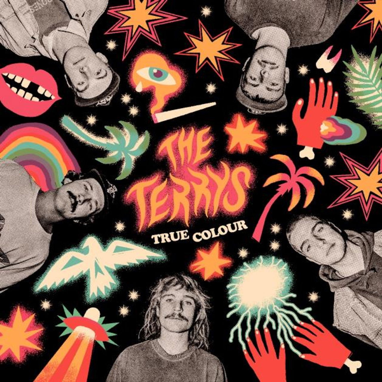 |  Vinyl LP | Terrys - True Colour (LP) | Records on Vinyl