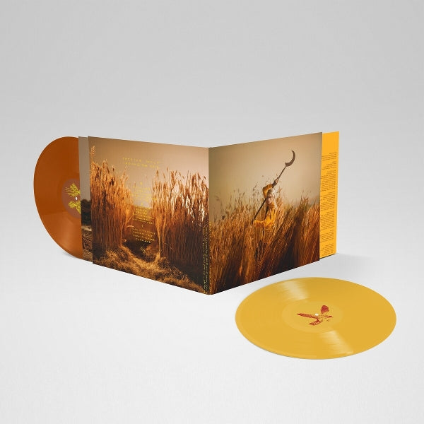 |  Vinyl LP | Patrick Wolf - Crying the Neck (2 LPs) | Records on Vinyl