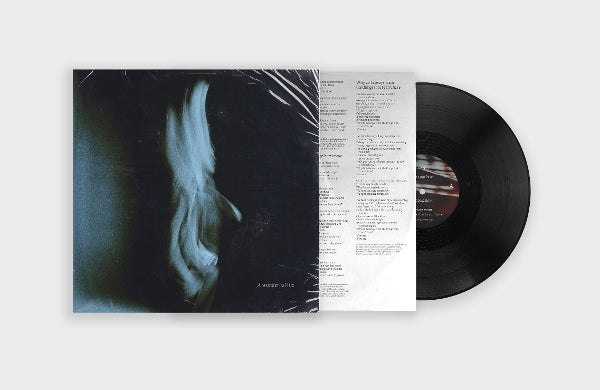 |  Vinyl LP | Tom Odell - A Wonderful Life (LP) | Records on Vinyl