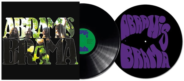 |  Vinyl LP | Abramis Brama - Nar Tystnaden Lagt Sig (LP) | Records on Vinyl