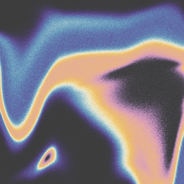 |  Vinyl LP | Jamie & Luke Schneider Lidell - A Companion For the Spaces Between Dreams (LP) | Records on Vinyl