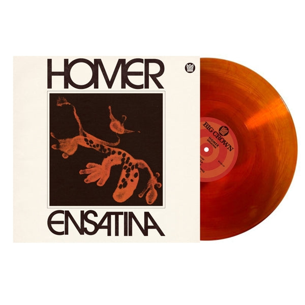 |  Vinyl LP | Homer - Ensatina (LP) | Records on Vinyl