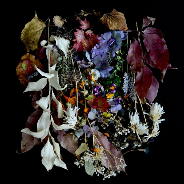 |   | Paws - Your Church On My Bonfire (LP) | Records on Vinyl