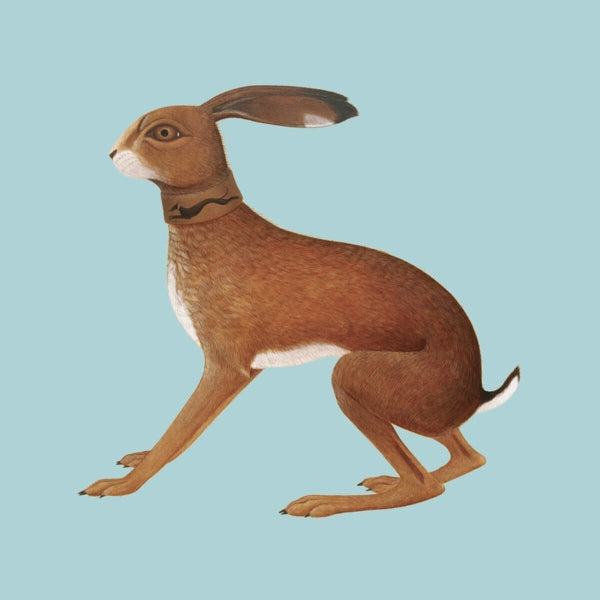 |   | Vashti Bunyan - Lookaftering (2 LPs) | Records on Vinyl