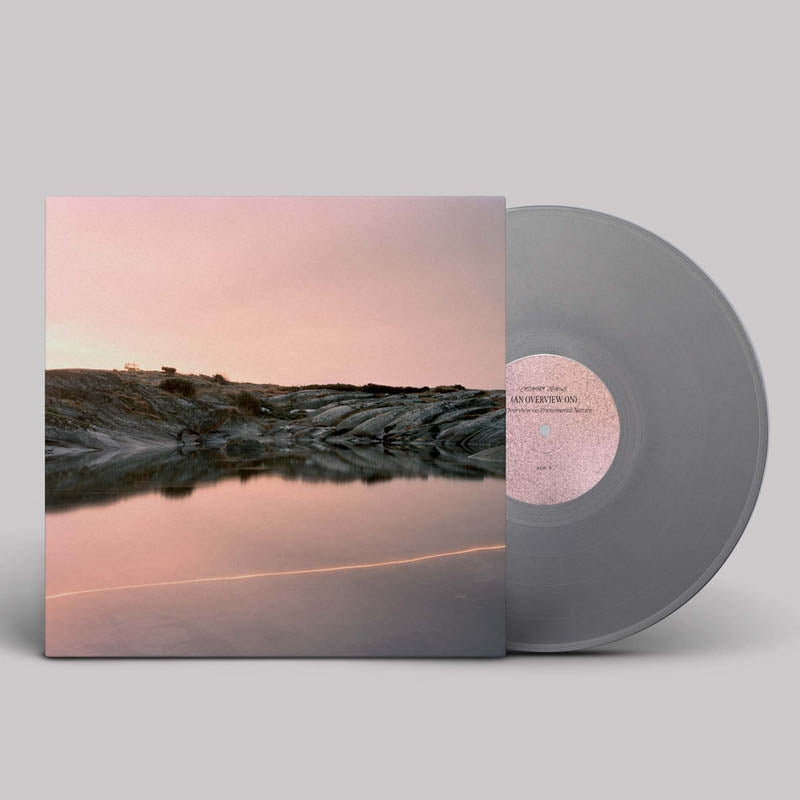 |  Vinyl LP | Cassandra Jenkins - (an Overview On) an Overview On Phenomenal Nature (LP) | Records on Vinyl