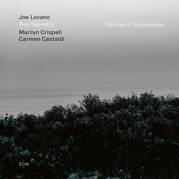 |  Vinyl LP | Joe -Trio Tapestry- Lovano - Garden of Expression (LP) | Records on Vinyl