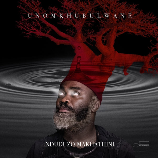 |  Vinyl LP | Nduduzo Makhathini - Unomkhubulwane (2 LPs) | Records on Vinyl