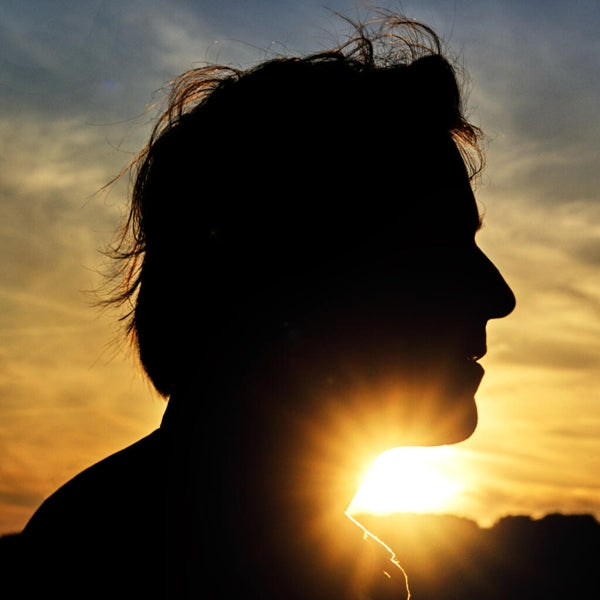|  Vinyl LP | Thomas Dutronc - Il N'est Jamais Trop Tard (LP) | Records on Vinyl