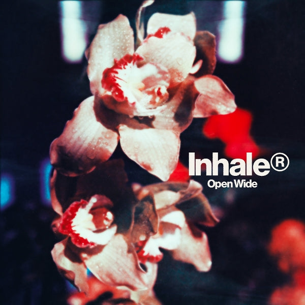 |   | Inhaler - Open Wide (LP) | Records on Vinyl