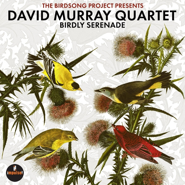 |  Vinyl LP | David Murray Quartet - Birdly Serenade (2 LPs) | Records on Vinyl