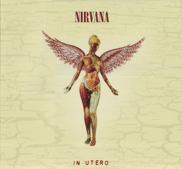 |  Vinyl LP | Nirvana - In Utero -20th Anniversary (3 LPs) | Records on Vinyl