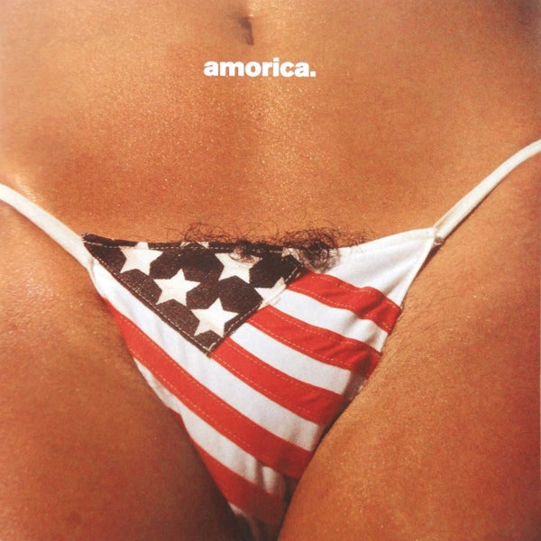 |  Vinyl LP | the Black Crowes - Amorica. (2 LPs) | Records on Vinyl