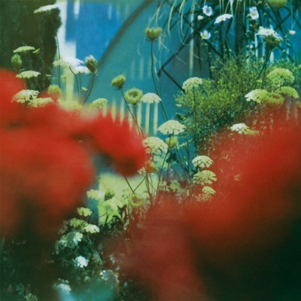 |  Vinyl LP | Pulled Apart By Horses - Haze (LP) | Records on Vinyl
