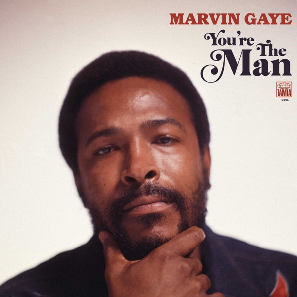 | Vinyl LP | Marvin Gaye - You're the Man (2 LPs) | Records on Vinyl