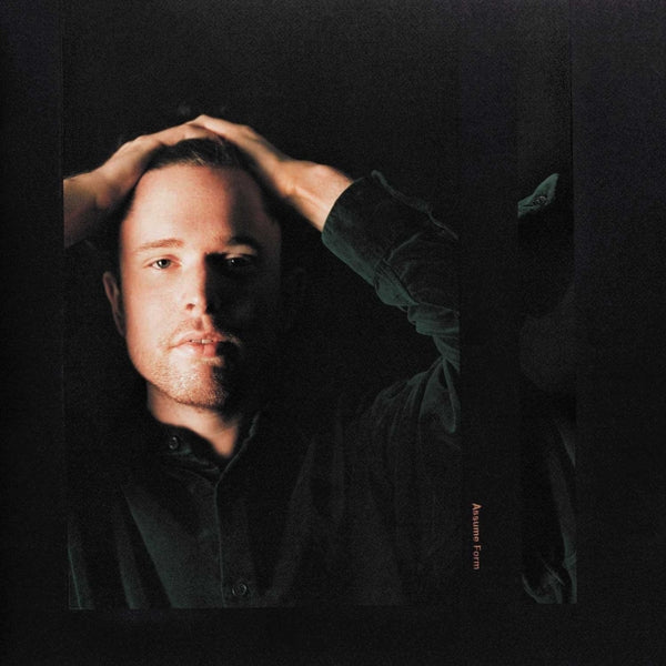 |  Vinyl LP | James Blake - Assume Form (2 LPs) | Records on Vinyl