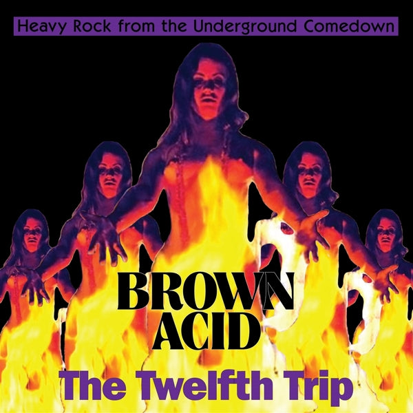 |  Vinyl LP | Various - Brown Acid: the Twelfth Trip (LP) | Records on Vinyl