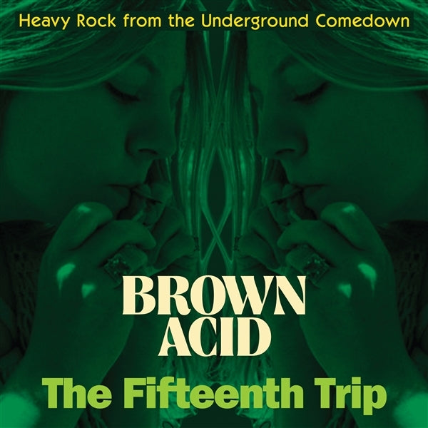 |  Vinyl LP | Various - Brown Acid: the Fifteenth Trip (LP) | Records on Vinyl