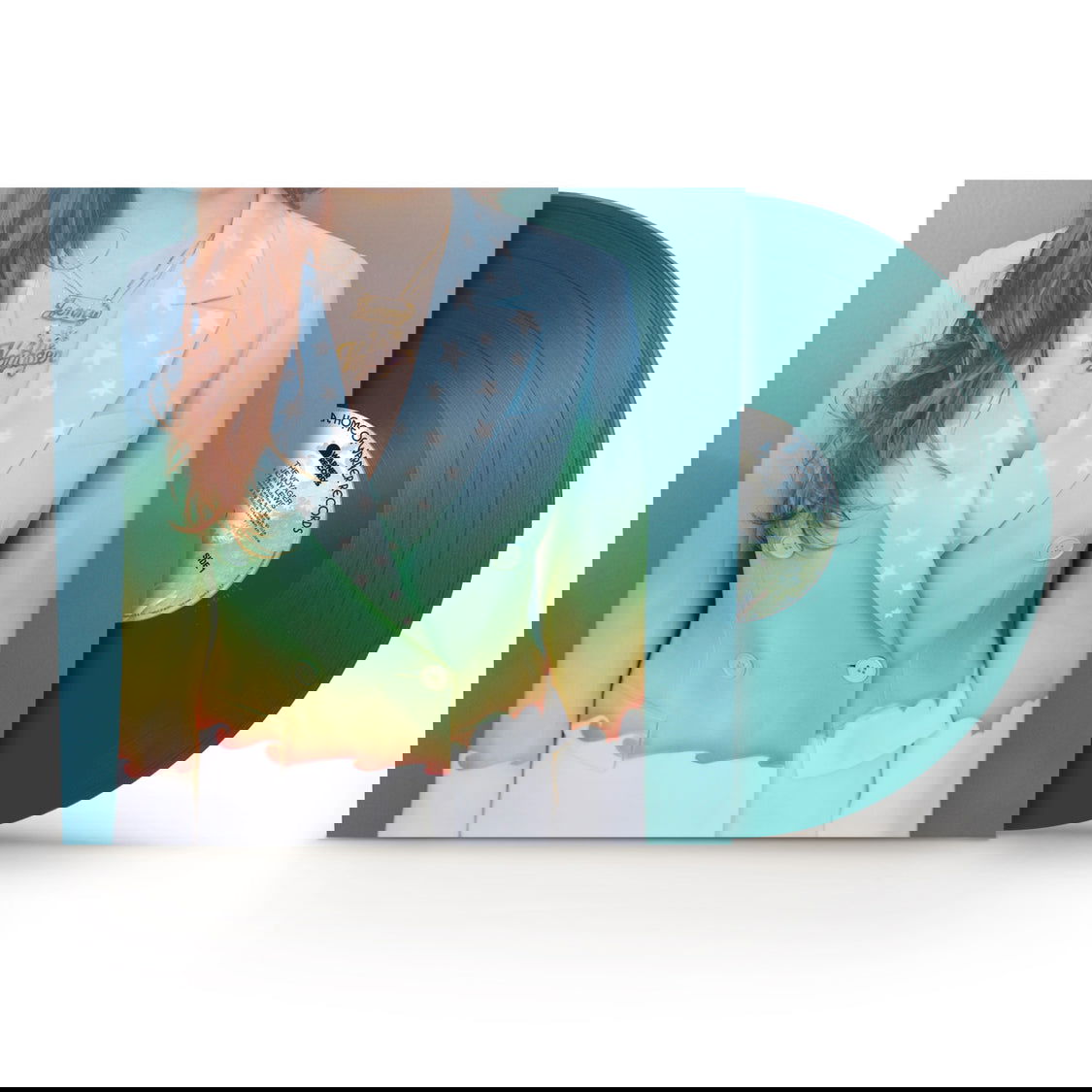 |  Vinyl LP | Jenny Lewis - The Voyager (LP) | Records on Vinyl