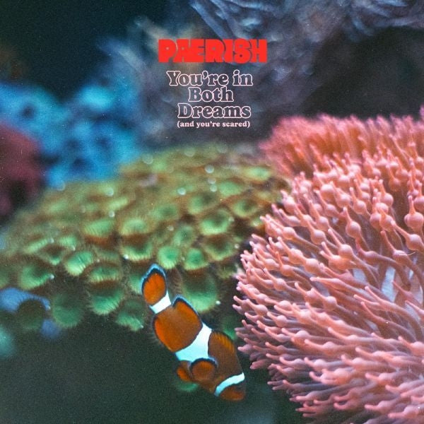 |   | Paerish - You're In Both Dreams (and You're Scared) (LP) | Records on Vinyl