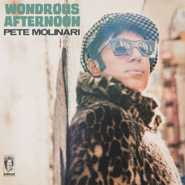 |  Vinyl LP | Pete Molinari - Wondrous Afternoon (LP) | Records on Vinyl
