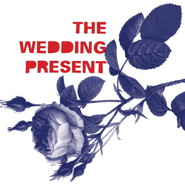 |  Vinyl LP | the Wedding Present - Tommy 30 (LP) | Records on Vinyl