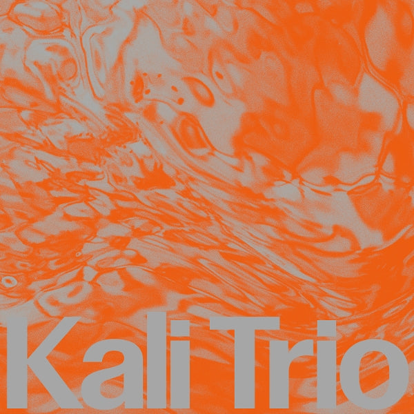 |  Vinyl LP | Kali Trio - The Playful Abstract (LP) | Records on Vinyl