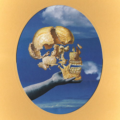 |  Vinyl LP | Sun Angle - Skullflower (LP) | Records on Vinyl