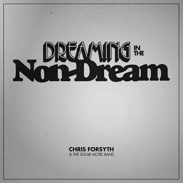 |  Vinyl LP | Chris Forsyth - Dreaming In the Non-Dream (LP) | Records on Vinyl