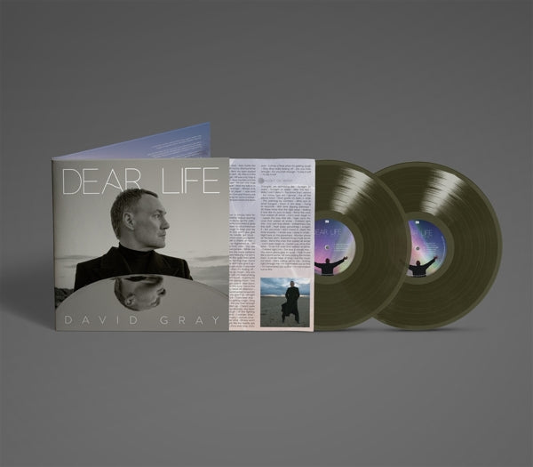 |  Vinyl LP | David Gray - Dear Life (2 LPs) | Records on Vinyl