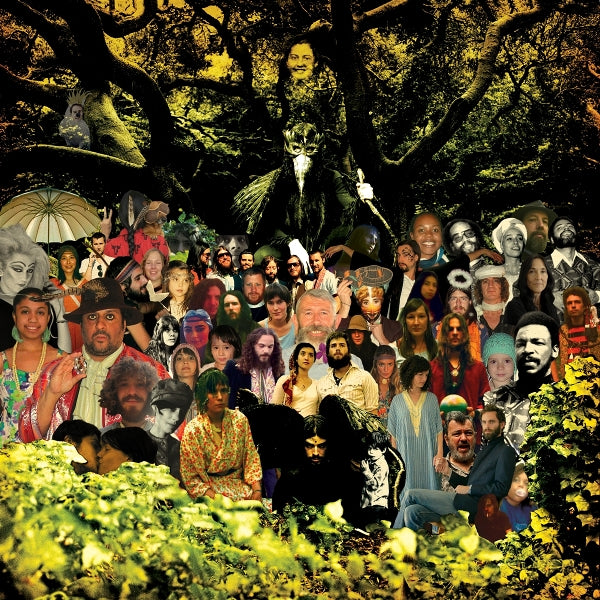 |  Vinyl LP | Devendra Banhart - Cripple Crow (3 LPs) | Records on Vinyl